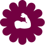 Core Strength Training